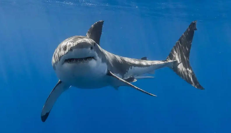 云南昆明水烟筒厂轮播图2