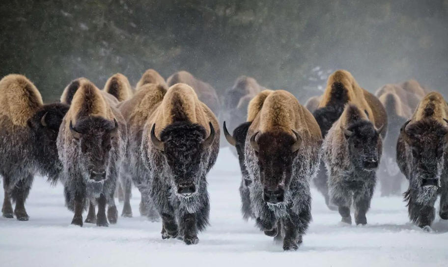 云南昆明水烟筒厂轮播图4